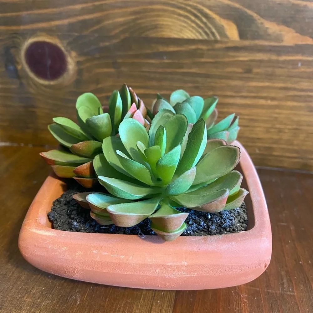 Faux Succulent Planter in Terra Cotta Pot